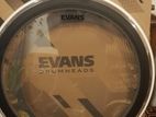 Evans /remo Drum Heads