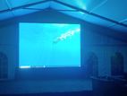 Event LED Backdrop Rent - 8x10 Feet