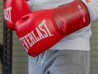Everlast Boxing Punching Gloves