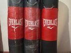 Everlast Punching Bag (45kg)