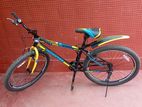 Everstar Bicycle