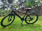 Everstar bicycle