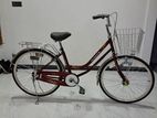 Everstar Bicycle new