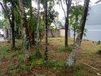 Excellent 15P Land for Sale off Pothuarawa Road (SL 13694)