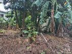 Excellent Land for Sale Boralasgamuwa