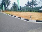 Excellent Land For Sale In Minuwangoda