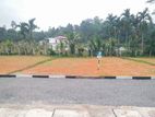 Excellent Land For Sale in Minuwangoda