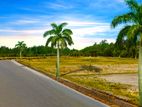 Excellent Land for Sale in Nawagamuwa
