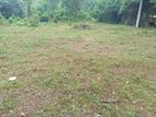 Excellent Land from panadura