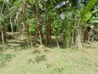Excellent Residential land for sale in kadawatha