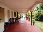 Exceptional Land with Large House in Rathnayakepura - Anuradhapura