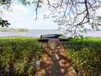 Exclusive Bolgoda Lakefront Property for Sale