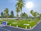 Exclusive Commercial Land Plots Kakanadura Town