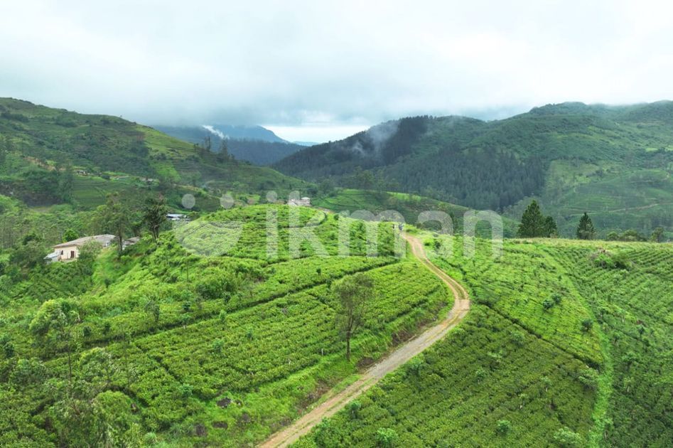 Exclusive land for saleHatton ikman