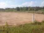 Exclusive Land for Sale in Katunayake