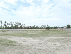 Exclusive Land for Sale in Negombo