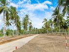 Exclusive Land for Sale in Uhumiya