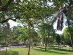 Exclusive Land for Sale -Ragama