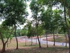 Exclusive Land in Ragama
