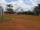 Exclusive Land Lots in Malabe P29