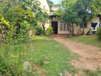 Exclusive Land Opportunity Near ITN Thalawathugoda