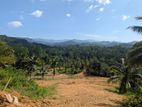 Exclusive Land Plots for Sale in Deniyaya