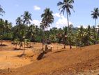 Exclusive Land Plots for Sale in Deniyaya