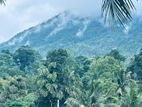 Exclusive Land Plots for Sale in Deniyaya
