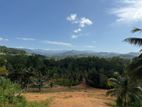 Exclusive Land Plots for Sale in Gonapola - Talagala