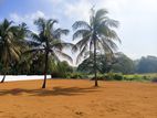 Exclusive Land Plots for Sale in Kurunagala Melsiripura Y 14