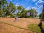 Exclusive Land Plots for Sale in Magammana Homagama R03