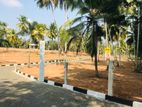 Exclusive Land Plots for Sale in Mirigama Pasyala Road