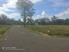 Exclusive Land Plots for Sale in Tangalle - Plot Number : 16