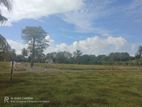Exclusive Land Plots for Sale in Tangalle - Plot Number : 27