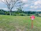 Exclusive Land Plots in Balangoda by Zynaty Real Estate