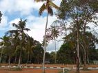 Exclusive Land Plots in Colombo Road – Polgasowita