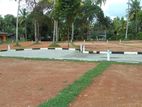 Exclusive Land Plots in Horana Road – Polgasowita