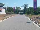 Exclusive land plots in Kesbewa Road – Piliyandala