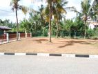 Exclusive land plots in Kottawa Jaya Mawatha Near 255 Road
