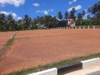 Exclusive land plots in Kurunegala Road – Dambadeniya