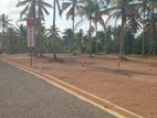 Exclusive Land Plots in Kurunegala Road Dambadeniya