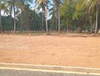 Exclusive land plots in Kurunegala Road – Dambadeniya