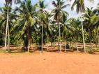 Exclusive Land Plots in Mirigama Pasyala Road