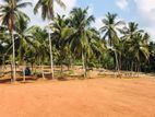 Exclusive land plots in Nittambuwa Pasyala Road