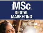 Executive MSc in Digital Marketing