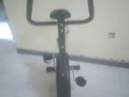 Exercise Bike with Padles