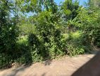 Expansive 60-Perch Residential Land for Sale in Bollatha, Ja-Ela
