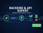 Backend API Development