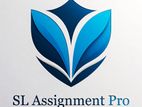 Assignment Help