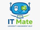 IT Assignment Assistance